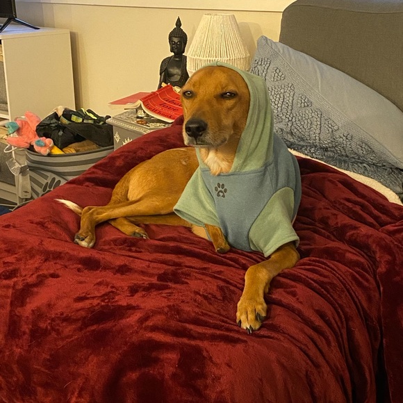 FOLLOW US TO 400K  🌟🌟🌟 THANK YOU ❤️✨❤️✨❤️ PLEASE TAG & SHARE ❤️❤️❤️ - Picture 5 of 16